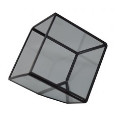 Nickannyâ??s  4â? Cube Sitting Geometric Glass Tabletop Air Plant Terrarium/Succulent Planter/ Votive Tealight Candle Holder-Open Face with Flat Base   